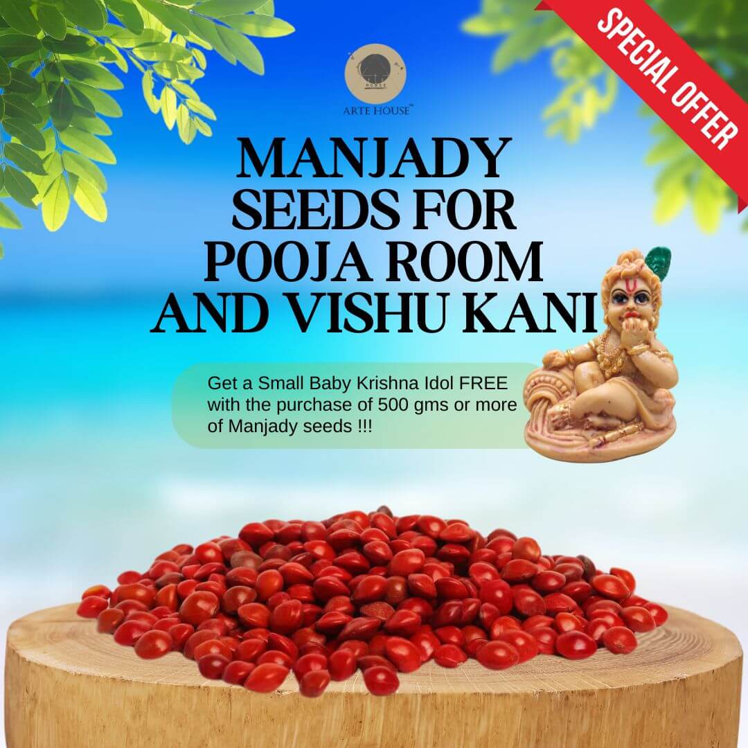 MANJADY SEEDS (ADENANTHERA PAVONINA OR RED LUCKY SEEDS) FOR POOJA ROOM AND VISHU KANI