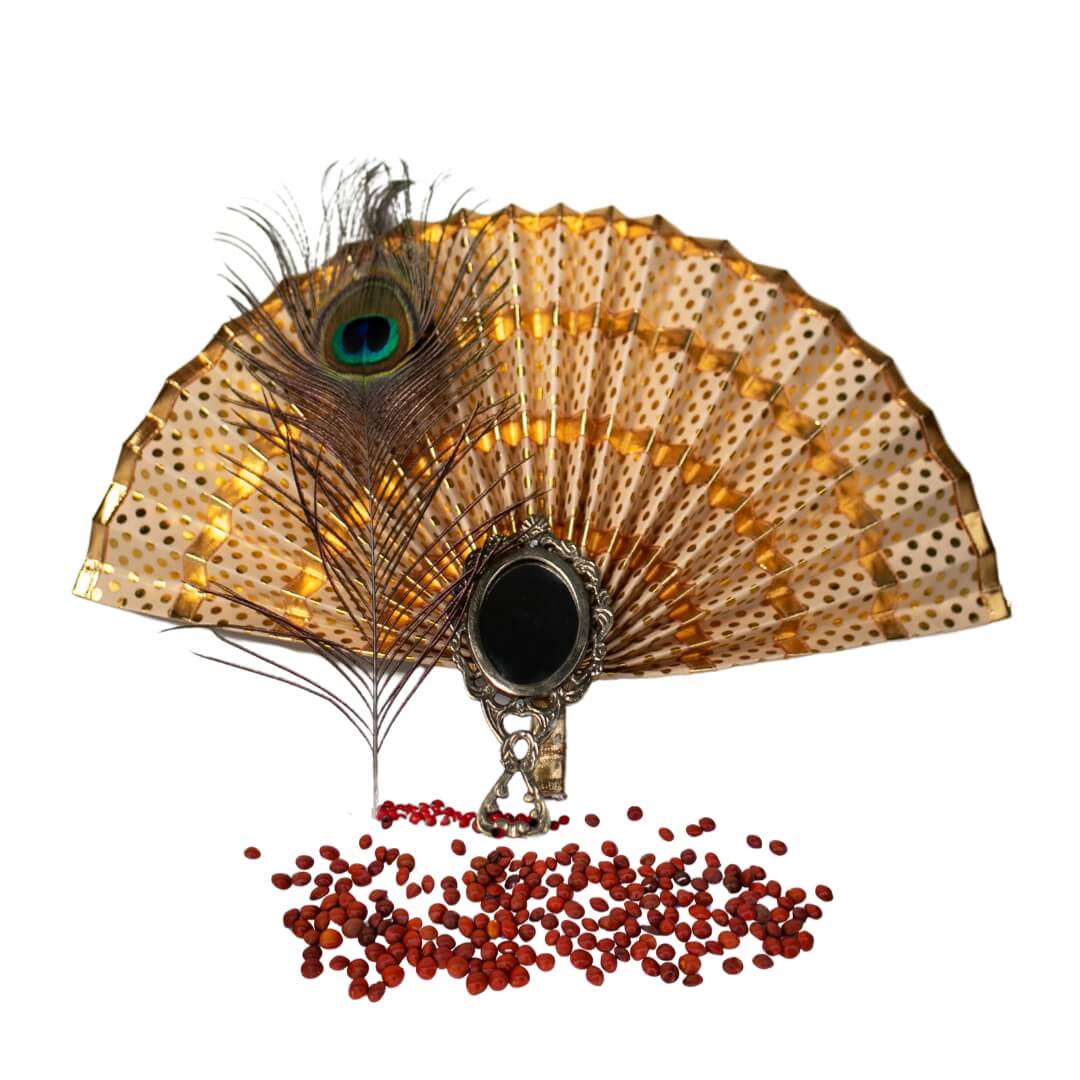 VISHU KANI KIT WITH FIBRE VITHOBA KRISHNA