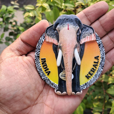 3D-Polymarble-Fridge-Magnet_Thechikottukavu-Ramachandran-Theme