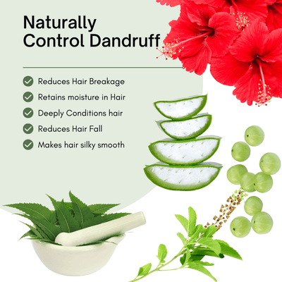 Anti_dandruff_shampoo_3