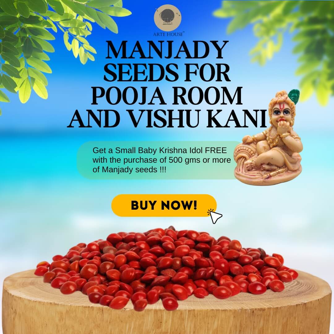 MANJADY SEEDS (ADENANTHERA PAVONINA OR RED LUCKY SEEDS) FOR POOJA ROOM AND VISHU KANI