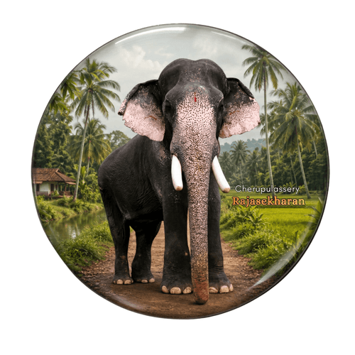 kerala-elephant-fridge-magnet-cherpulassery-rajaekharan