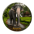 kerala-elephant-fridge-magnet-guruvayur-kesavan