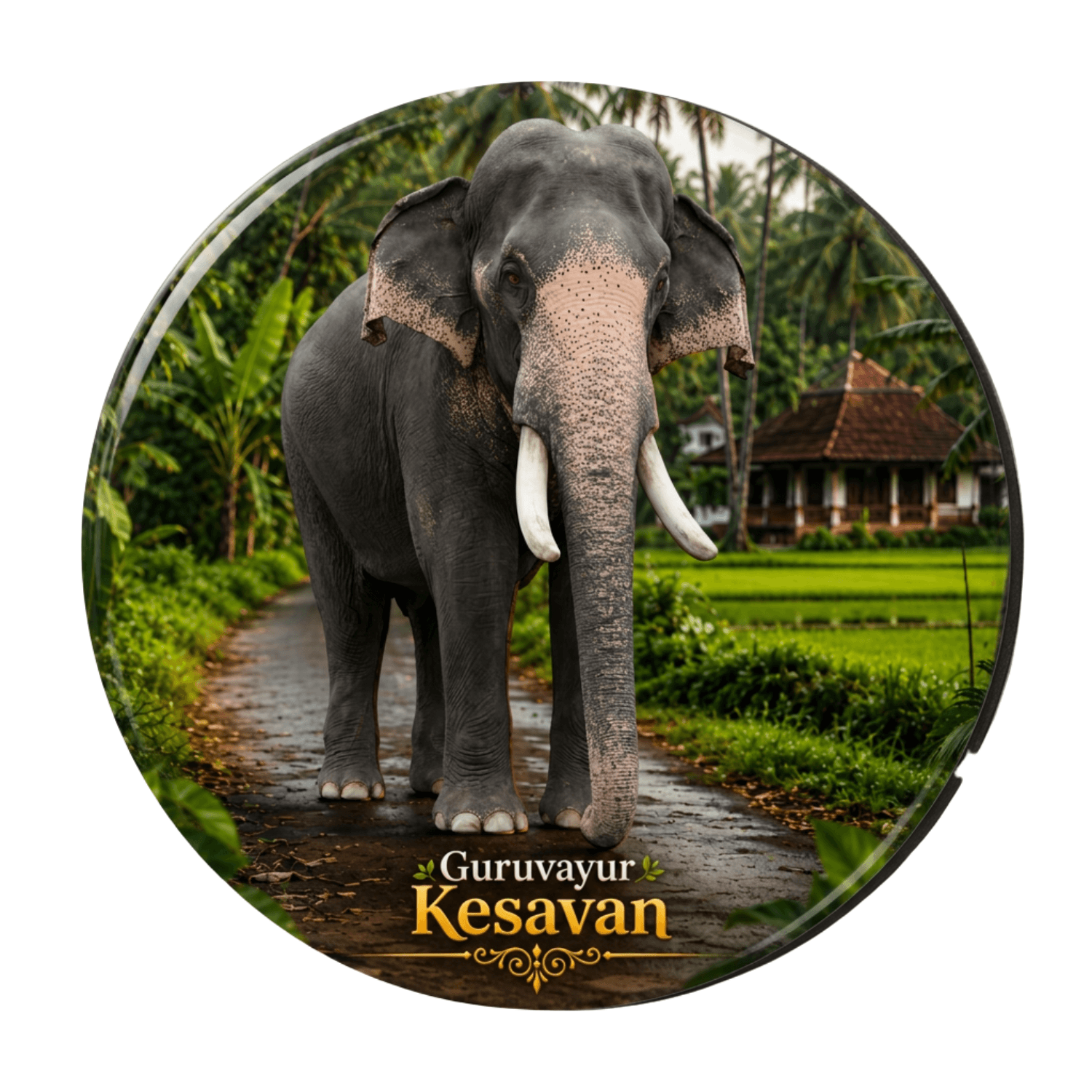 kerala-elephant-fridge-magnet-guruvayur-kesavan