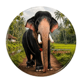kerala-elephant-fridge-magnet-mangalamkunnu-ayyappan