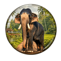 kerala-elephant-fridge-magnet-puthuppally-kesavan