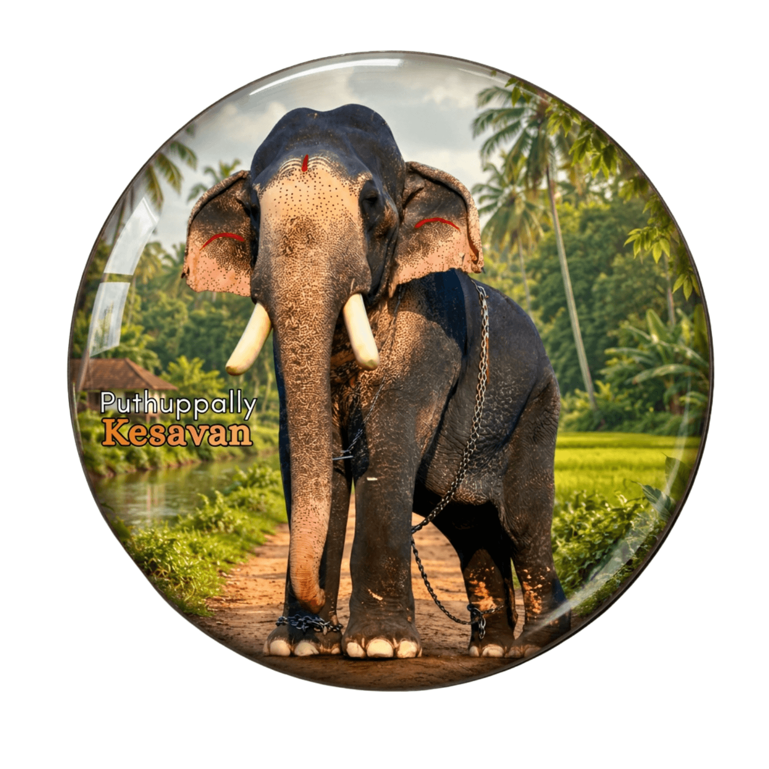 kerala-elephant-fridge-magnet-puthuppally-kesavan