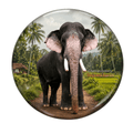 kerala-elephant-fridge-magnet-thiruvambadi-sivasundar