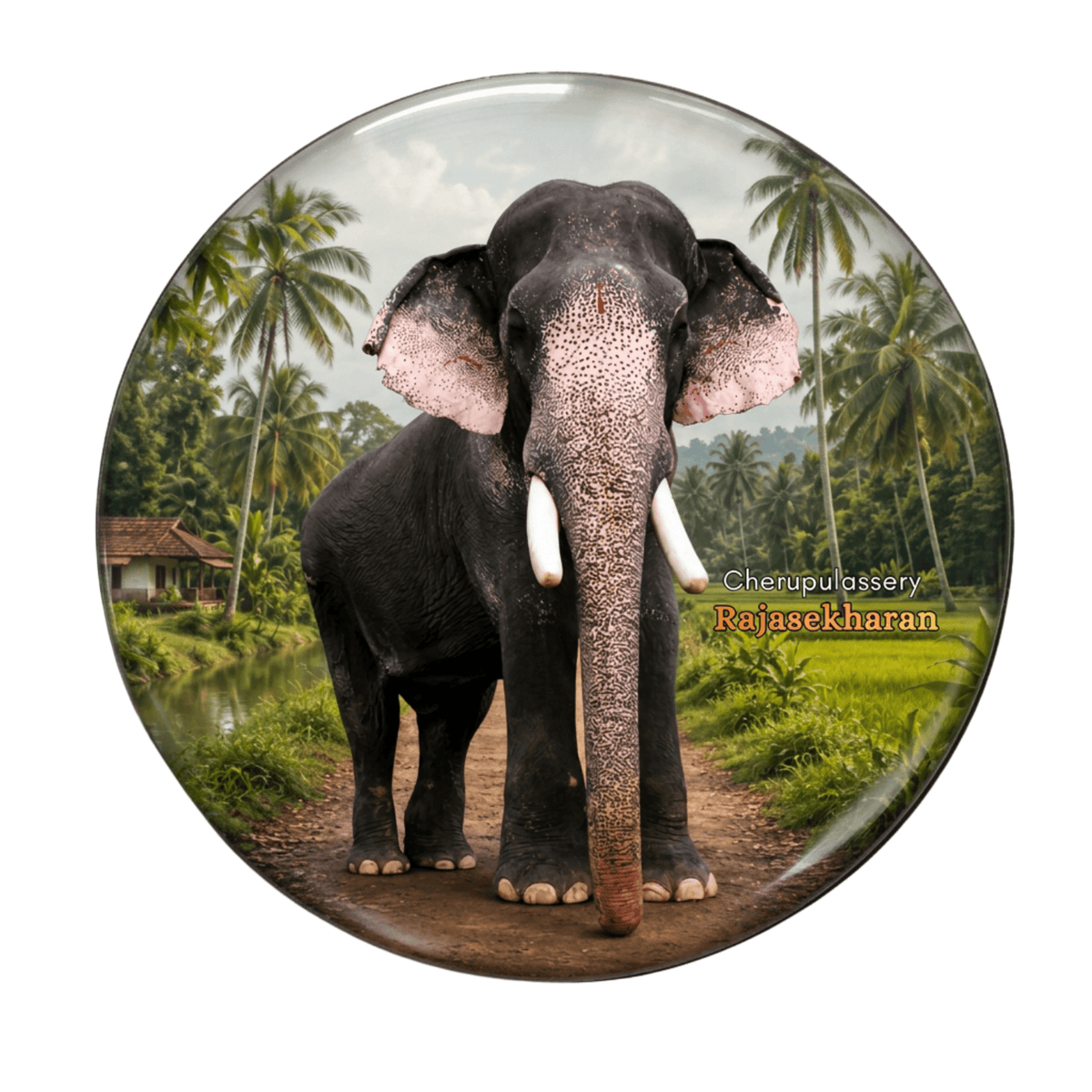 kerala-elephant-fridge-magnet-thiruvambadi-sivasundar