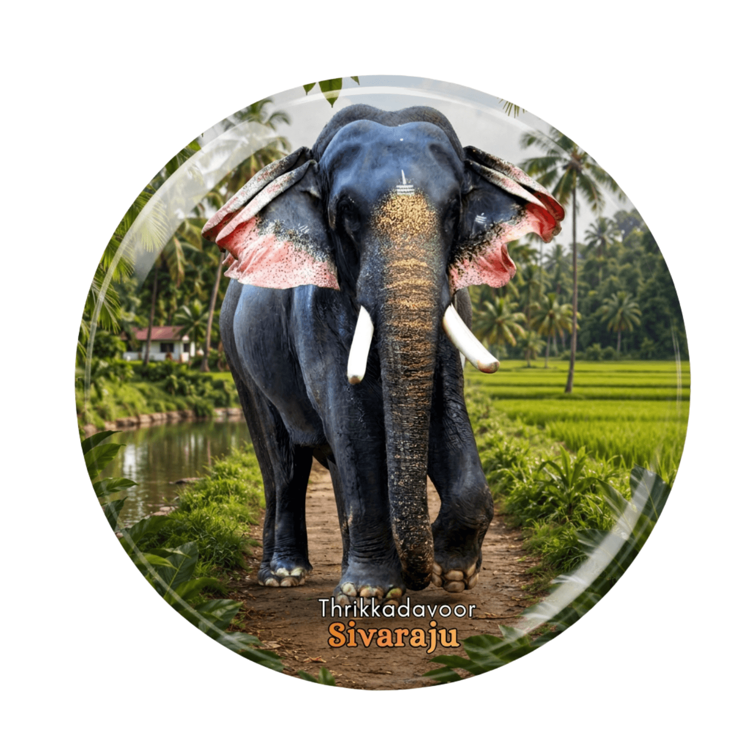 kerala-elephant-fridge-magnet-thrikkadavoor-sivaraju