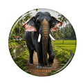 kerala-elephant-fridge-magnet-thrikkadavoor-sivaraju_1
